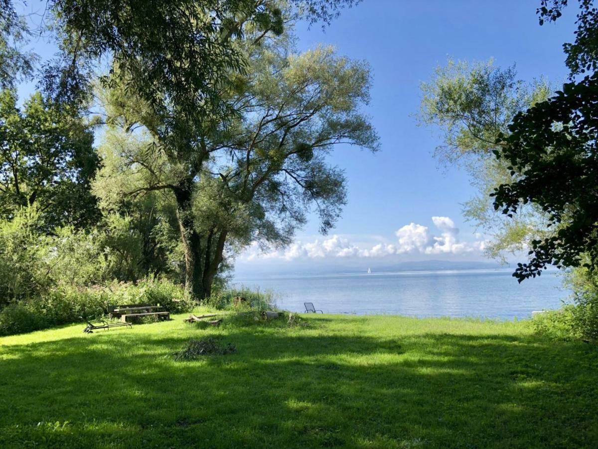 Wohlfuehl-Apartment Auenwald Im Naturschutzgebiet Mit Privatstrand FDH Kültér fotó